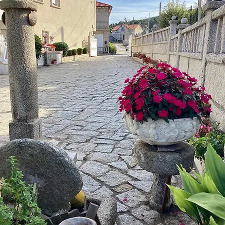 Atico Con Terraza Апартаменты