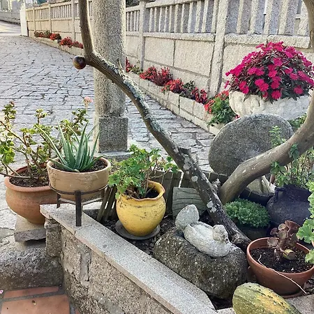 Atico Con Terraza *