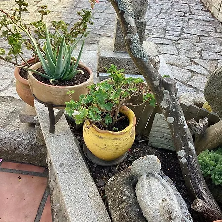 Atico Con Terraza Апартаменты *