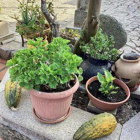 Atico Con Terraza Эль-Грове